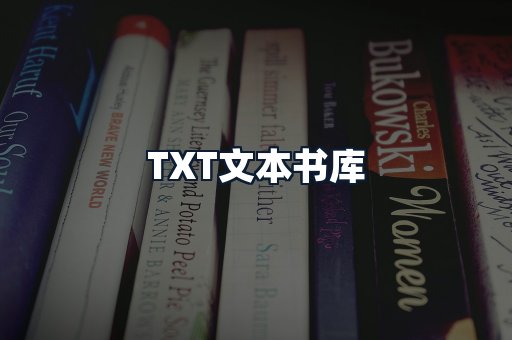 TXT文本书库